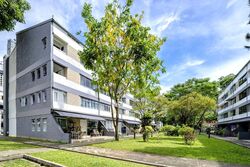 Dunearn Road (D11), Condominium #516887451